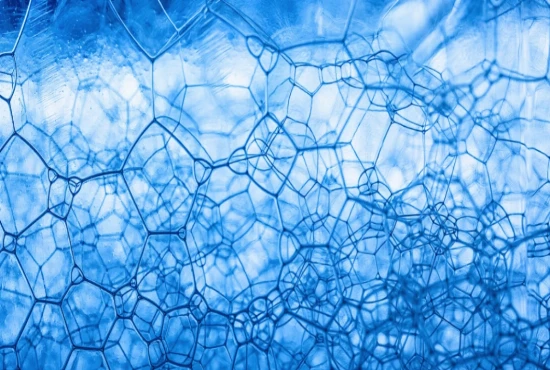 Federated Intelligence Networks and Privacy-Preserving Distributed Learning Systems