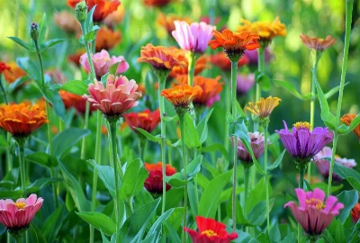 Cognitive Load–Balanced Tourism Models: Designing Travel Days That Prevent Decision Fatigue and Sensory Overload