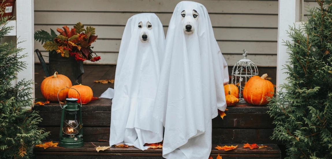 Ghosts in the Machine: Can You Really Haunt the Internet?