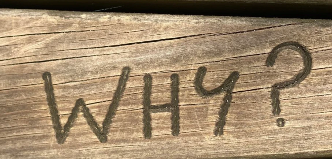 Hiking Trails That End in Something You’d Never Expect