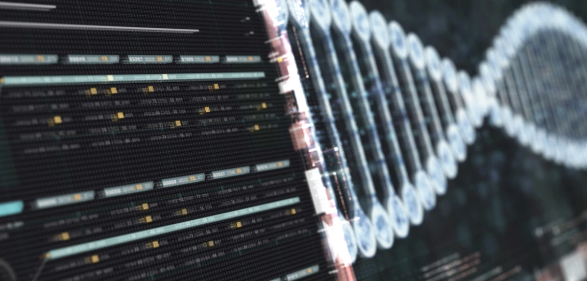 Holographic Computing Platforms and the Next Era of Immersive Digital Processing