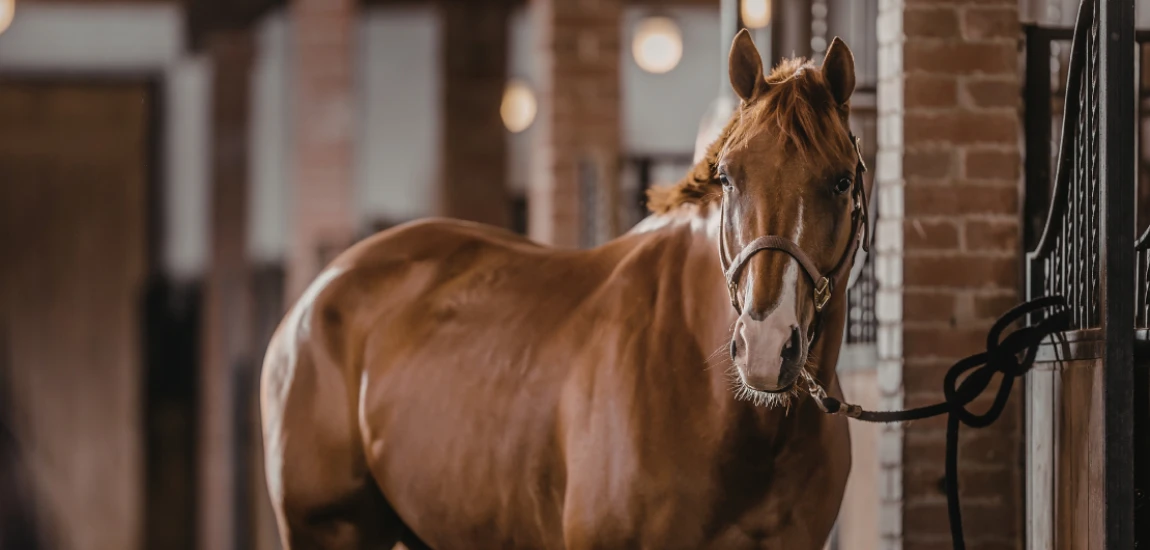 Identity-Stable Wealth Building – Growing Savings Without Forcing Lifestyle Change