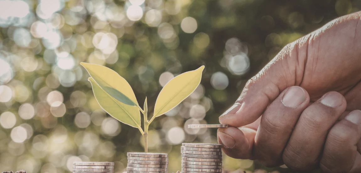 Impact Investing for Sustainability: Driving Positive Environmental and Social Change