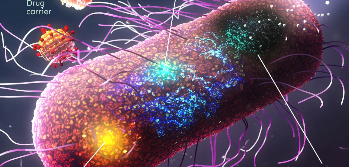 Inflation-Resistant Budget Architectures: Structuring Expenses to Absorb Economic Shocks