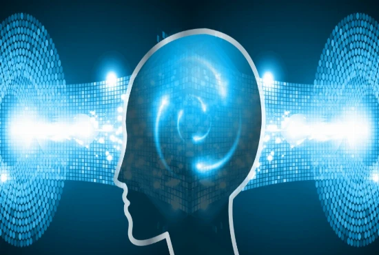 Intelligent Bio-Digital Memory Systems and Human Knowledge Preservation Networks