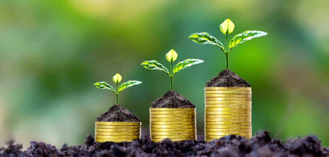 Intelligent Savings Automation Networks and the Future of Self-Growing Personal Wealth