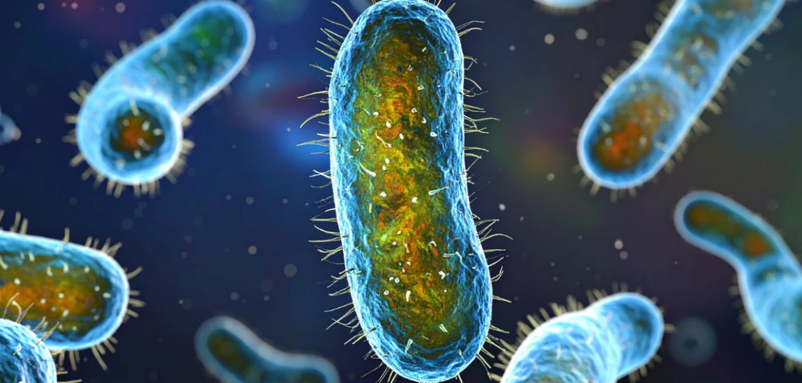 Microscopic Narratives: Why Short-Form Content Is Becoming the New Epic