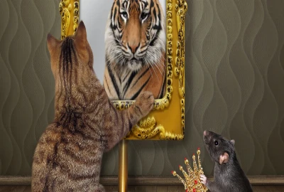 Stress-Reducing Wealth Architecture – Designing Finances That Calm the Nervous System