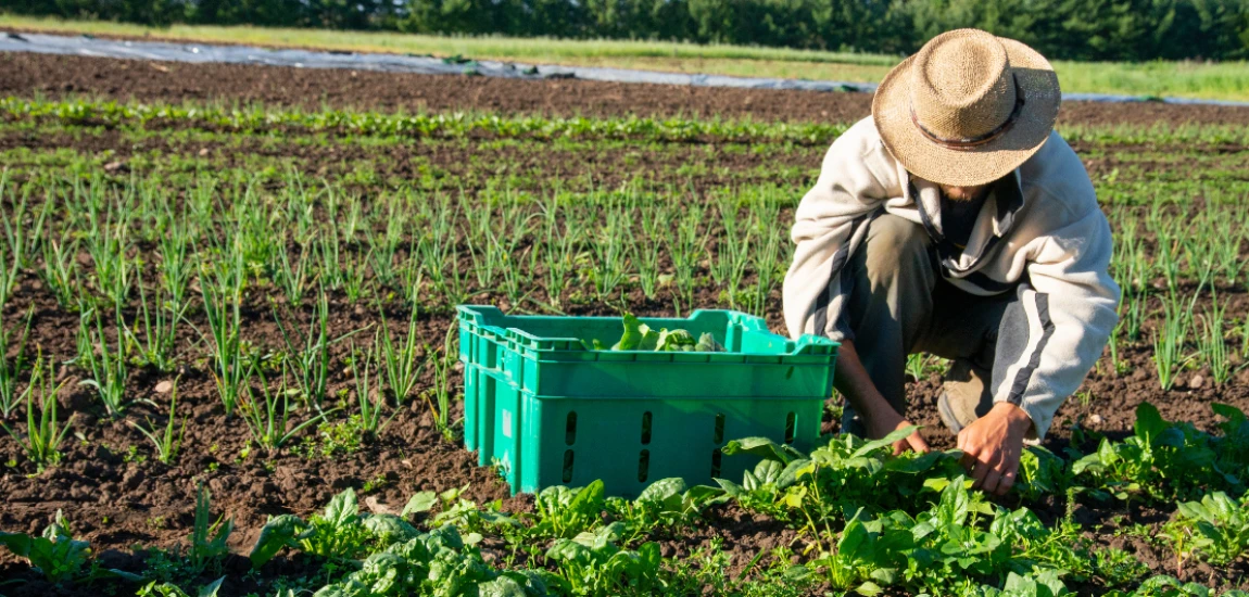 Mood Farming: The Industrialization of Feeling Online
