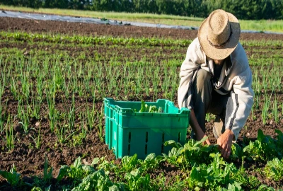 Stress-Reducing Wealth Architecture – Designing Finances That Calm the Nervous System