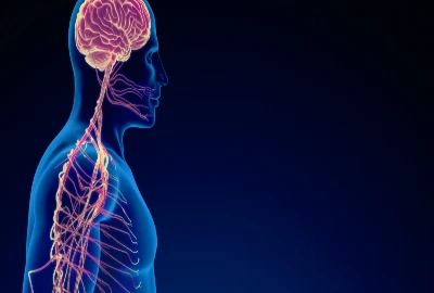 Emotional Baseline Travel – Journeys Designed to Keep You Functioning, Not Performing