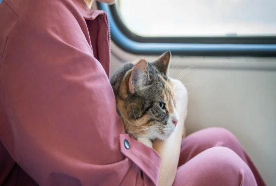 Nervous-System-Friendly Travel: Designing Journeys Around Calm, Comfort, and Mental Energy