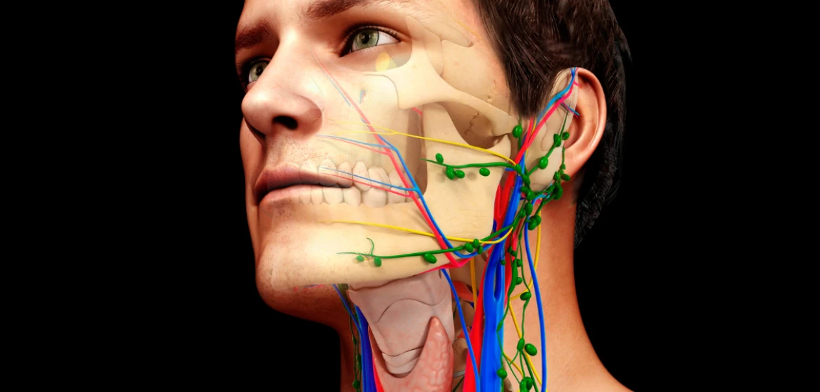 Nervous-System Friendly Travel – How Destinations Are Being Designed to Reduce Stress, Not Create It