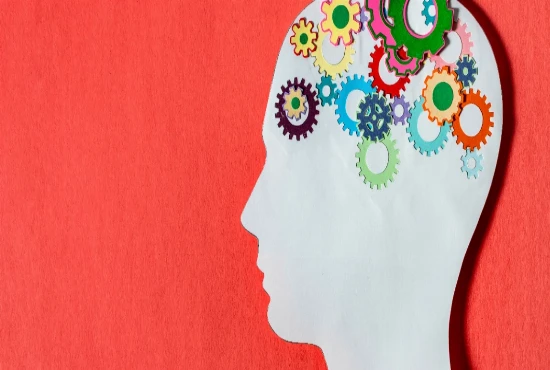 Neuro-Inspired Computing Architectures and Brain-Like Processing Systems