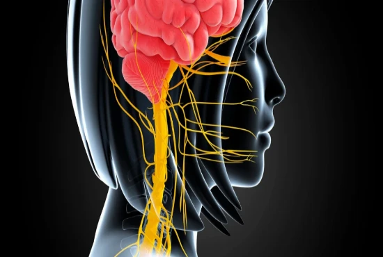 Neuromorphic Brain Emulation Systems and Digital Mind Preservation Frameworks