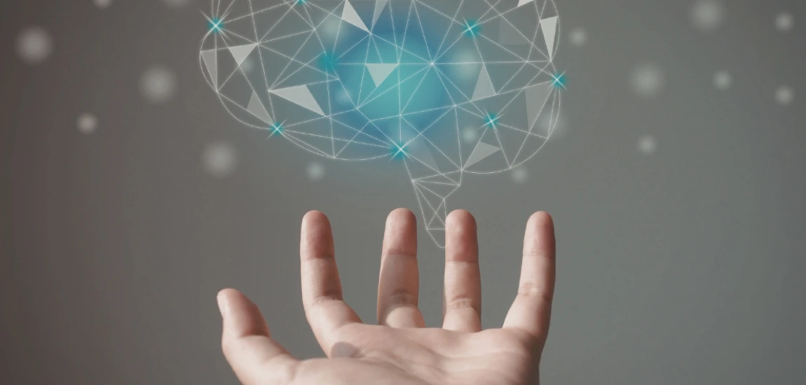 Neuromorphic Intelligence Systems and Brain-Inspired Adaptive Computing Networks