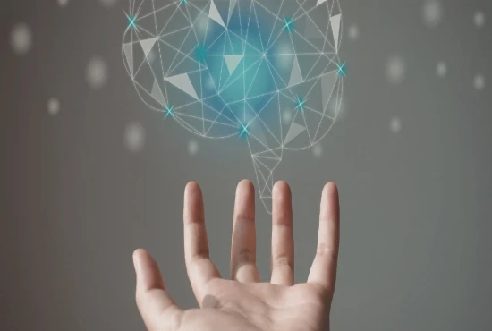 Neuromorphic Intelligence Systems and Brain-Inspired Adaptive Computing Networks