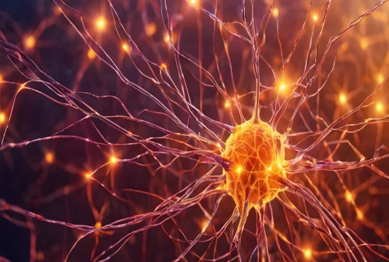 Next-Generation Neural Interface Systems and Brain–Computer Integration Frameworks