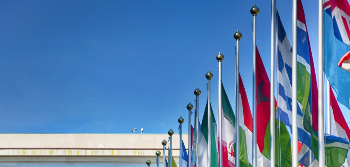 Nichecore Nation: Micro-Identities in the Age of Algorithmic Belonging