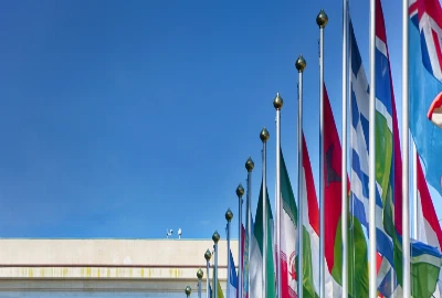 Stress-Reducing Wealth Architecture – Designing Finances That Calm the Nervous System