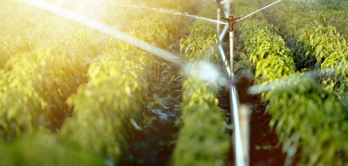 Organic Lore Systems: Stories That Grow Like Ecosystems, With Characters Behaving as Living Species