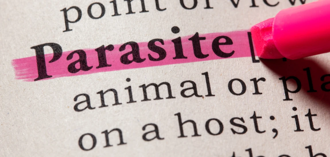 Parasocial Parasites: The Dark Side of Intimacy with Influencers