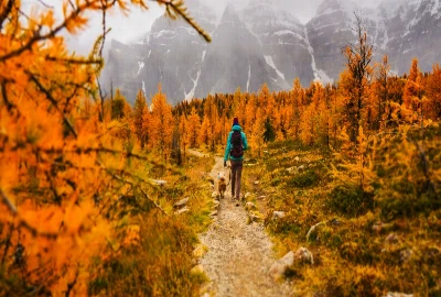 Long-Horizon Security Planning – Preparing Finances for Future Life Shifts and Goals