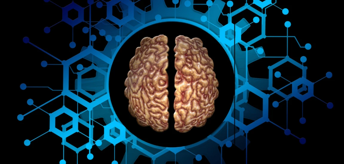 Quantum Neural Interface Systems and Brain–Computer Communication Optimization Architectures