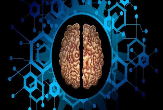 Quantum Neural Interface Systems and Brain–Computer Communication Optimization Architectures