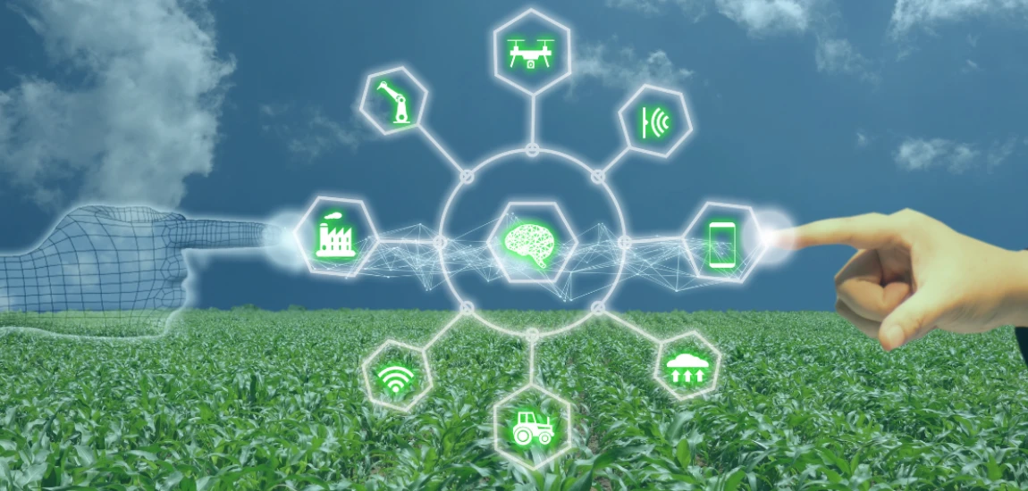 Quantum Sensor Intelligence Networks and the Evolution of Hyper-Accurate Environmental Monitoring