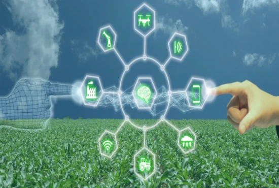 Quantum Sensor Intelligence Networks and the Evolution of Hyper-Accurate Environmental Monitoring