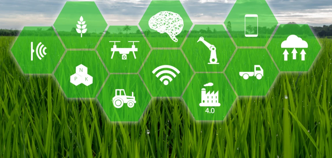 Quantum Sensor Intelligence Platforms and the Evolution of Hyper-Accurate Environmental Monitoring