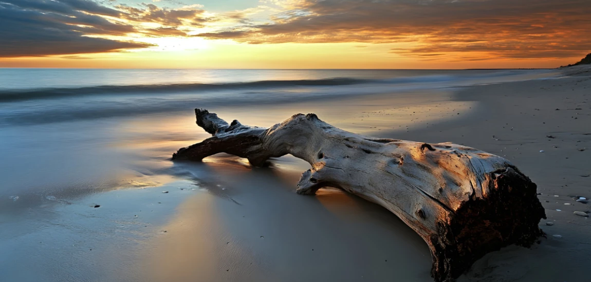 Quiet-Tech Ecosystems – Building Digital Environments That Default to Calm