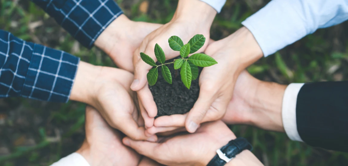 Regenerative Destination Development – Restoring Ecosystems and Local Communities