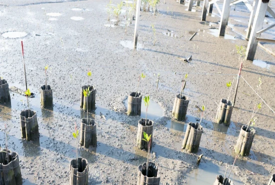 Regenerative Destination Ecosystem Restoration Networks – Connecting Tourism Activities With Biodiversity Recovery, Habitat Protection, and Local 