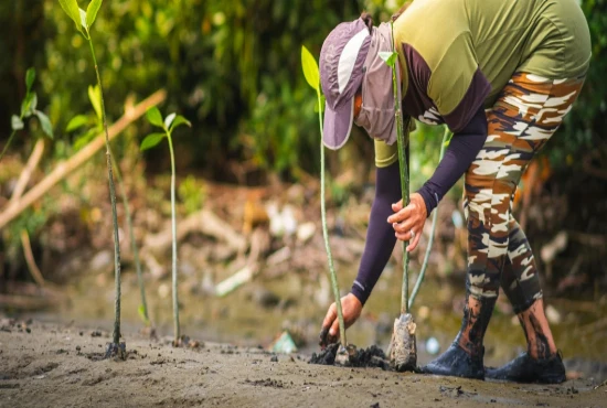 Regenerative Destination Ecosystems – Building Tourism Systems That Restore Nature and Support Communities