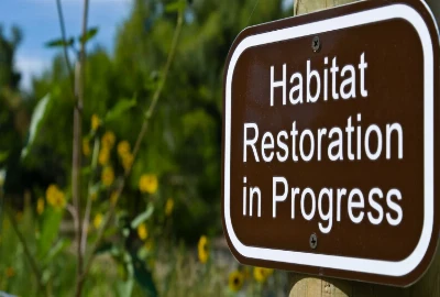Regenerative Destination Systems – Designing Tourism That Restores Nature and Communities