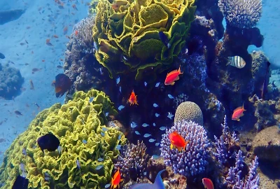 Future Generations Tourism Planning – Building Sustainable Destinations for the Future
