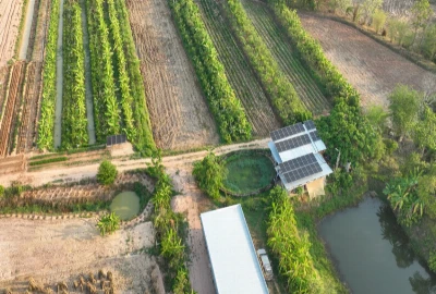 Local Tourism Economic Growth Networks – Strengthening Local Businesses Through Tourism