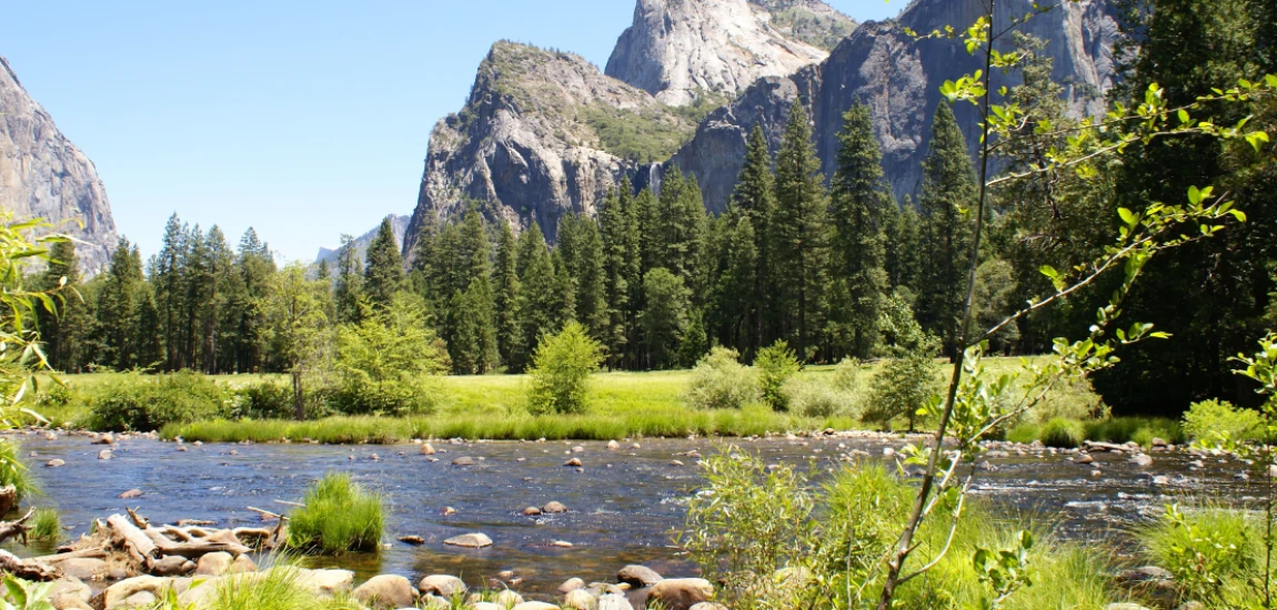 Regenerative Tourism Ecosystems – Building Tourism Systems That Restore Nature and Communities