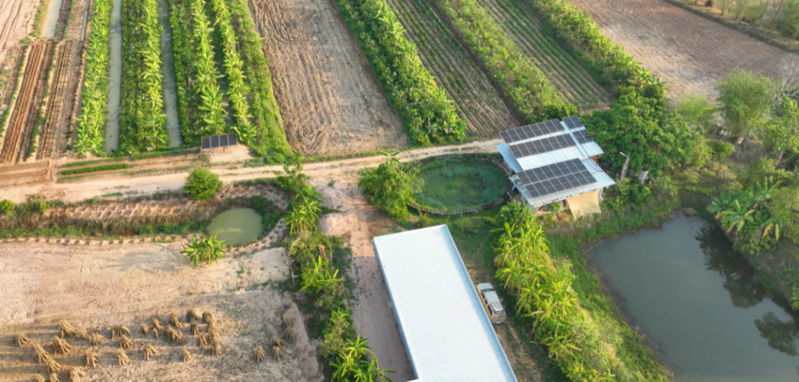 Regenerative Travel Infrastructure – Developing Tourism That Restores Natural Environments
