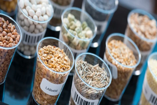 Route Familiarity Seeding – Reusing Spatial Patterns to Reduce Disorientation