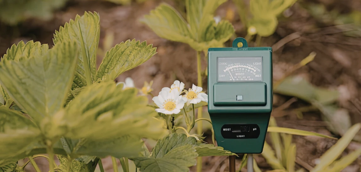 Smart Dust and Nanoscale Sensor Networks in Everyday Environments: The Invisible Future of Technology