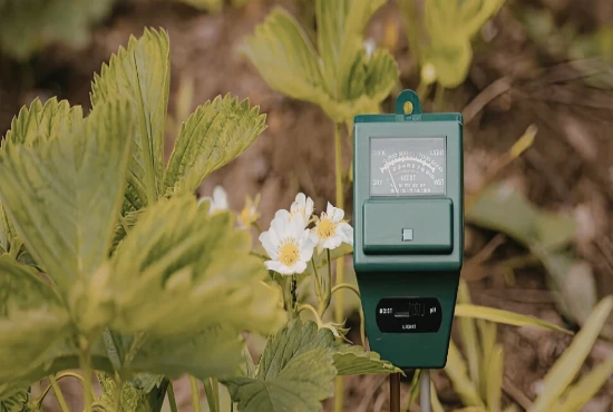 Smart Dust and Nanoscale Sensor Networks in Everyday Environments: The Invisible Future of Technology