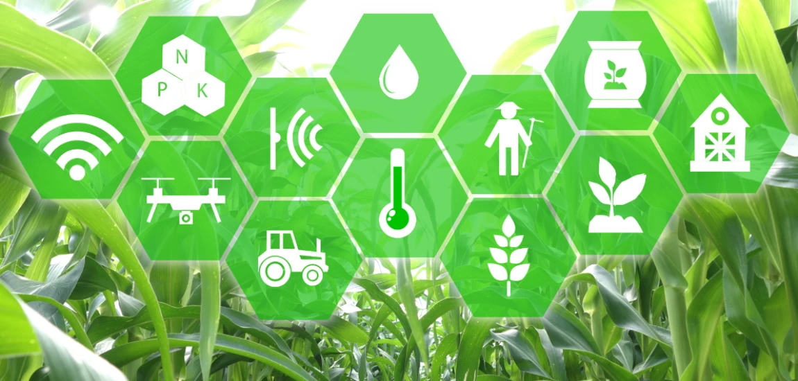 Smart Dust Sensor Networks and Ubiquitous Environmental Intelligence Monitoring Frameworks