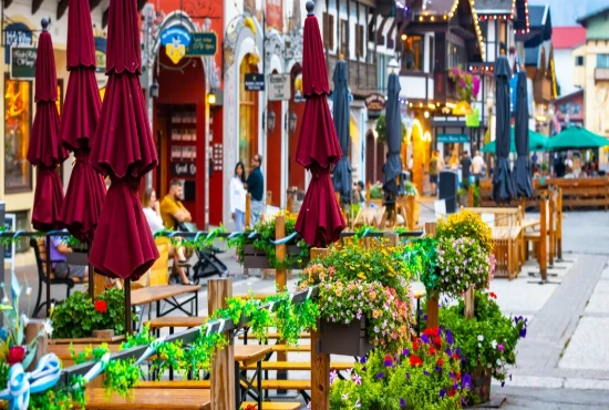 Smart Tourism Destination Resilience Networks: Building Stronger and Future-Ready Destinations