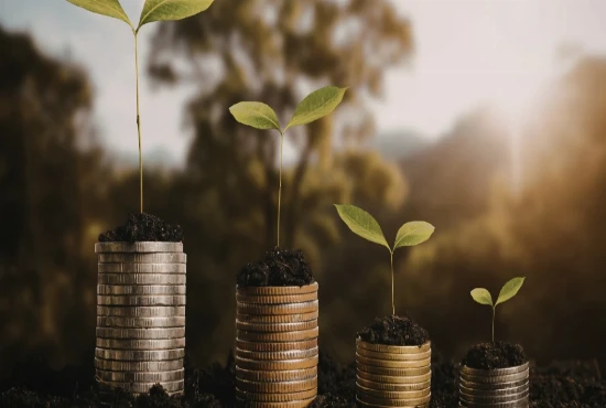 Stress-Reducing Wealth Architecture – Designing Finances That Calm the Nervous System