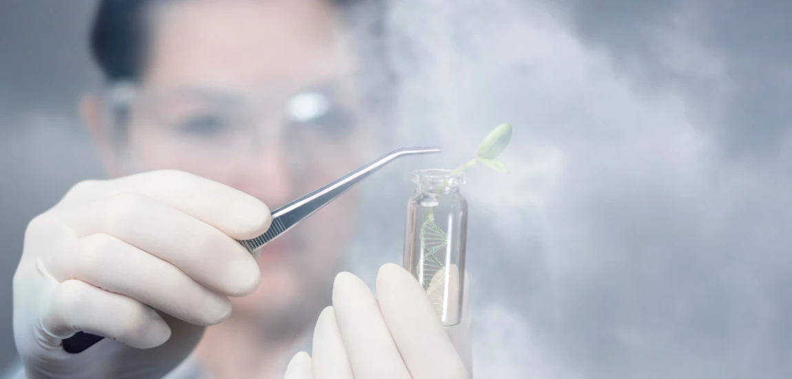 Synthetic Biology: Engineering Life or Playing God?