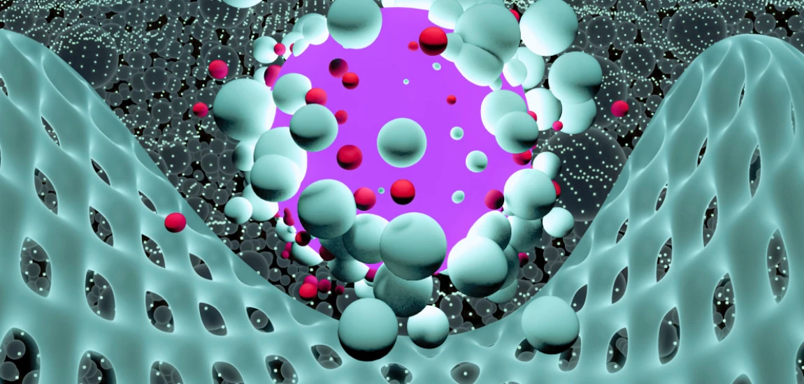 Synthetic Biology Engineering Systems and the Future of Programmable Living Organisms