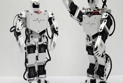 Programmable Nanorobot Healthcare Networks and the Future of Autonomous Precision Medicine